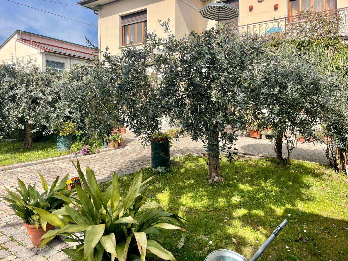 Casa La Palma Apartment Vecchiano Bagian luar foto